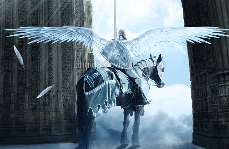 Let's Fly, fantasy, warrior, wings, horse, knight, HD wallpaper