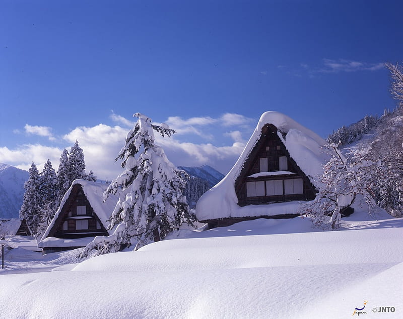 Gokoyama Winter, japan, gokoyama, japanese, snow, village, scenery, winter, HD wallpaper