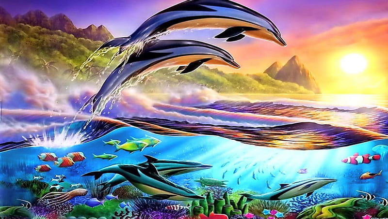 Dolphin paradise, underwater, dolphin, fish, sunset, sea, HD wallpaper ...