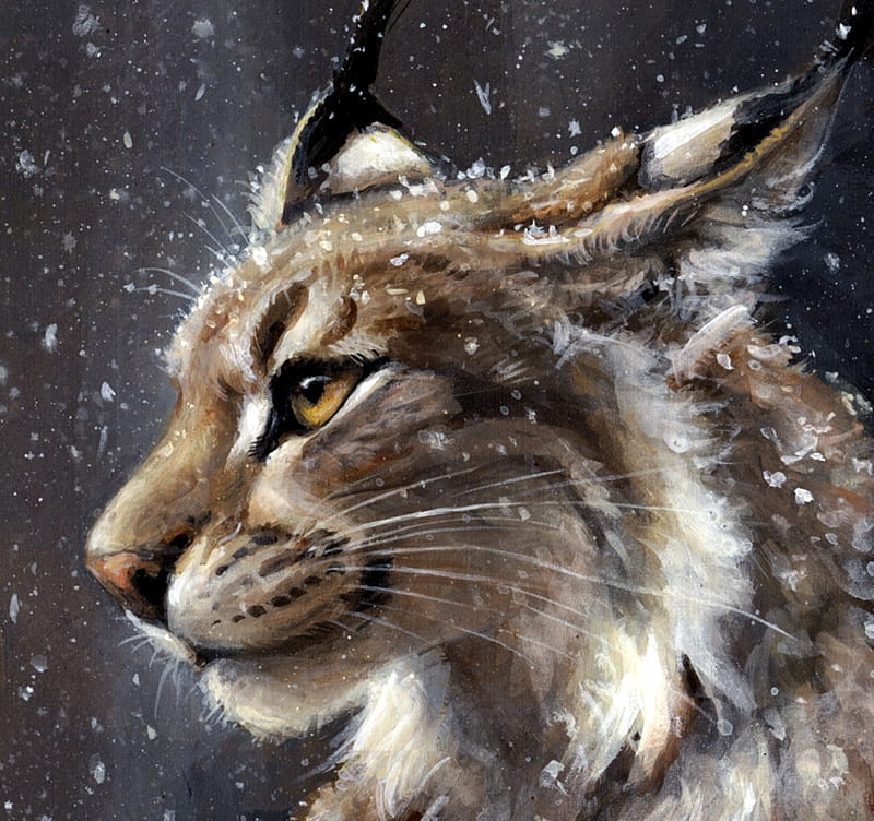 Lynx, art, luminos, kenket, cat, animal, winter, fantasy, snow, pisica, HD wallpaper