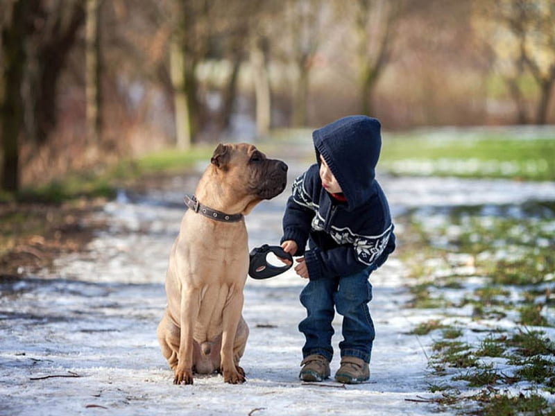 Big Dog and Little Boy, cute, people, children, adorable, animals, dogs, HD wallpaper