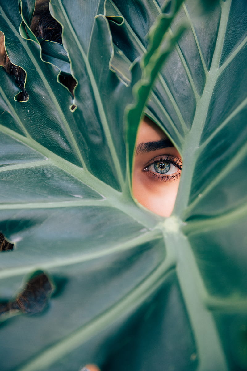 woman peeking over green leaf plant taken at daytime, HD phone wallpaper