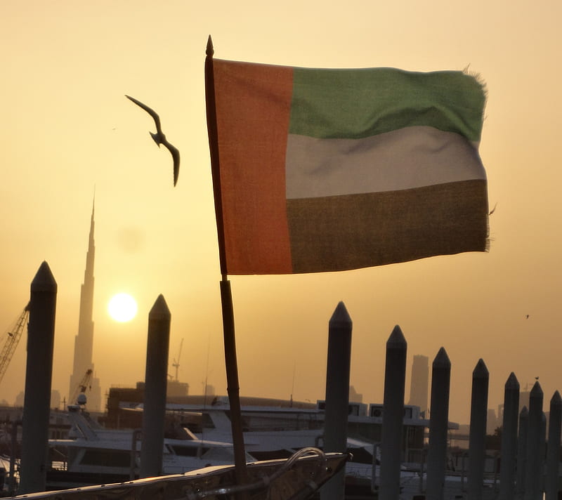UAE falg, bird, dubai, flag, khalifa tower, sun, sunset, HD wallpaper |  Peakpx