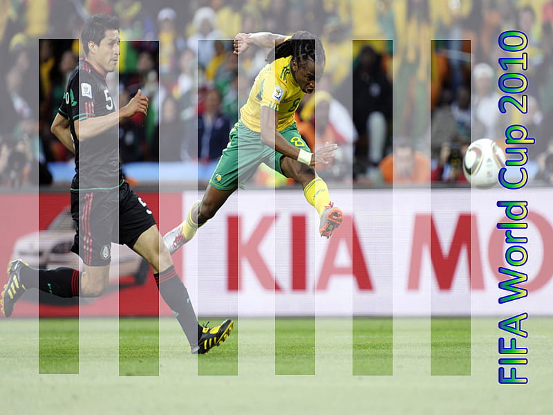 FIFA World Cup 2010, green, grass, black, football, cup, player, team, HD wallpaper