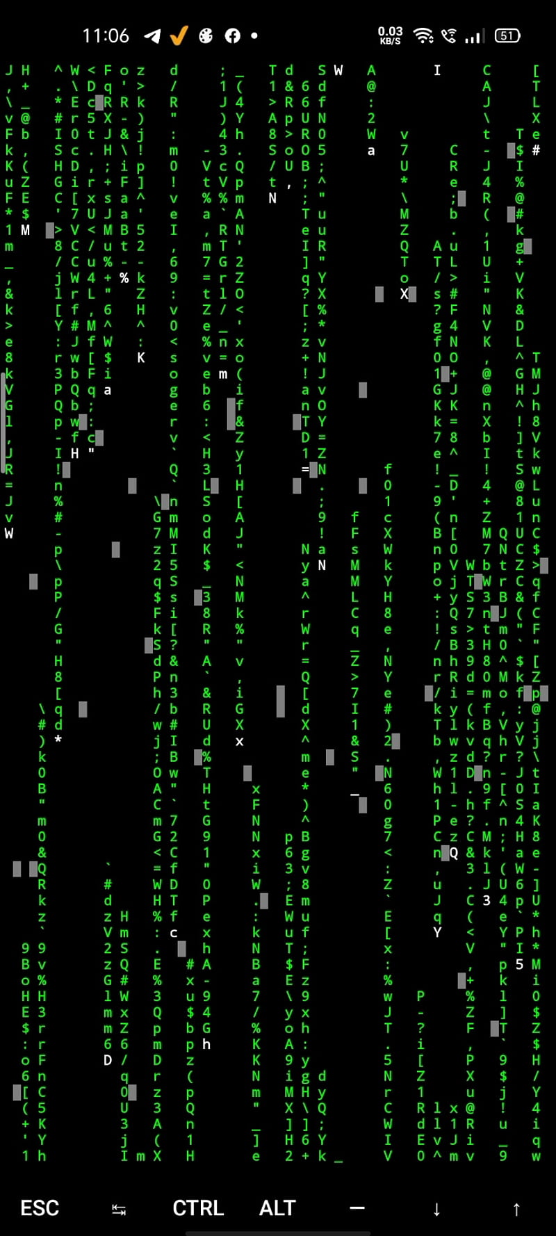 Cmatrix, code, green, matrix, HD phone wallpaper | Peakpx