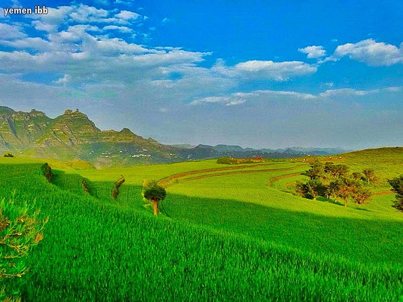 Green Fields in Ibb Yemen, Mountains, Green, Yemen, Arabia, Fields, Nature, Ibb, HD wallpaper