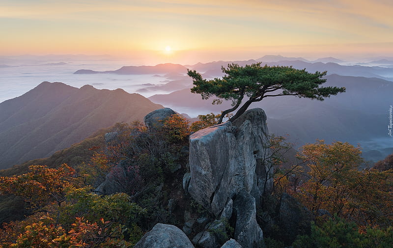 Park Daedunsan in Korea, sunshine, tree, rock, mountains, panorama, HD wallpaper