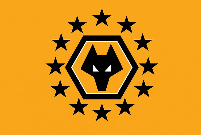 Euro Wolves, soccer, euro, fc, wolverhampton wanderers fc, screensavers, europe, gold and black, football, wwfc, wolves, european wolves, HD wallpaper