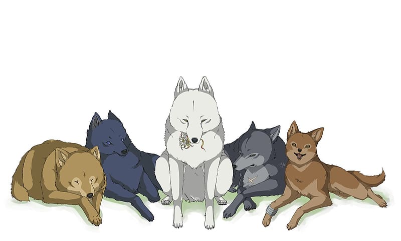 Blue Wolfs Rain  Zerochan Anime Image Board