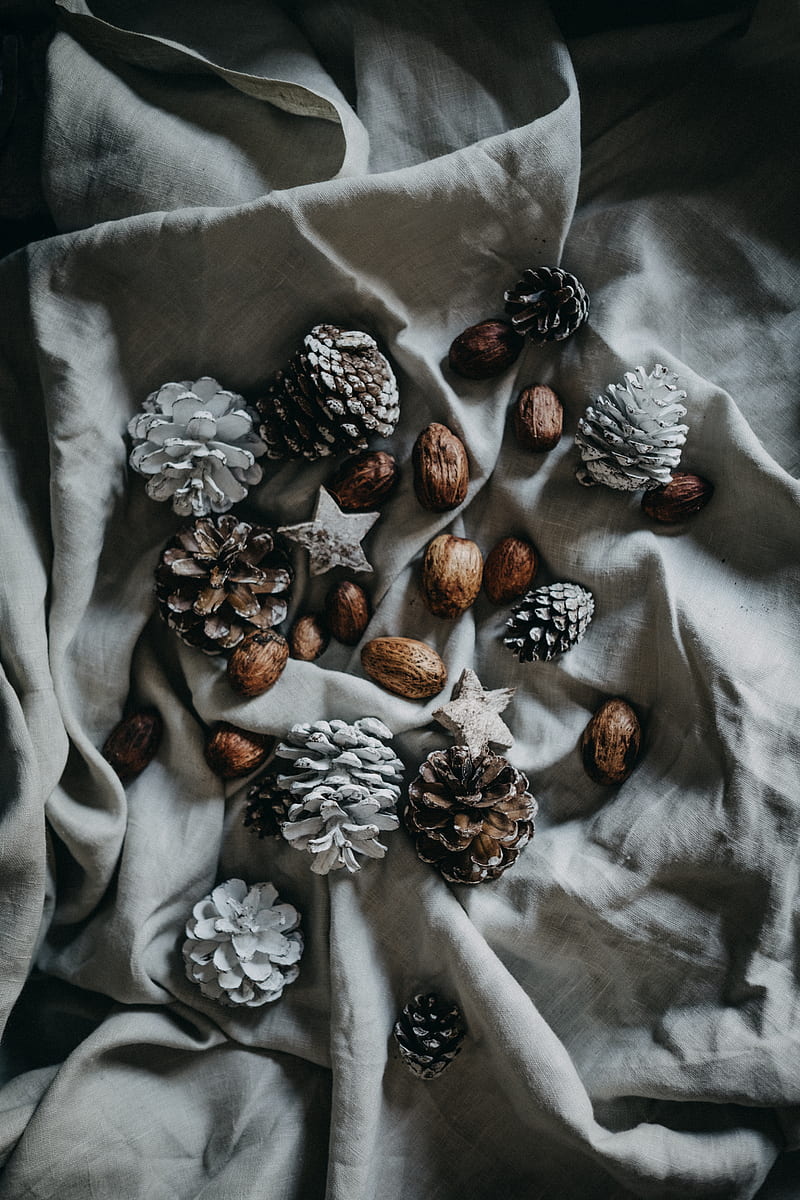 pinecone and nut on top of blanket, HD phone wallpaper