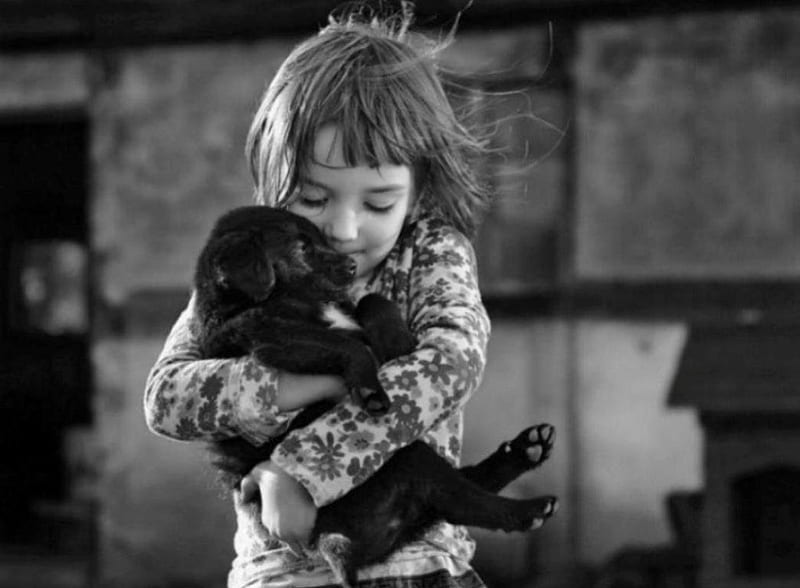 A tender hug is what we all need little, black and white, small sweet child, tender, dog, puppy, graph pic, wall, hug, cute, girl, HD wallpaper