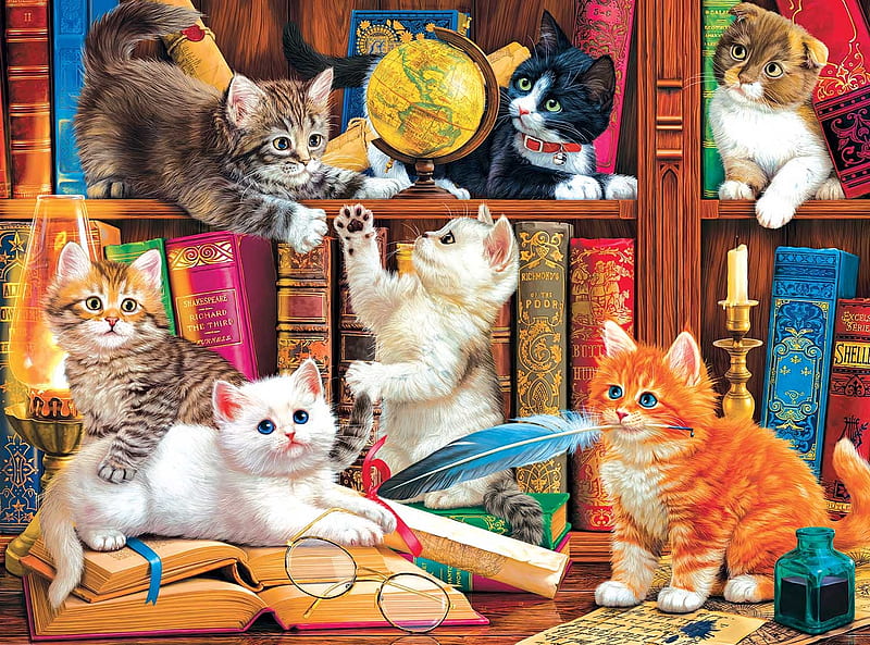 Kittens, cat, pisici, art, kitten, book, library, HD wallpaper