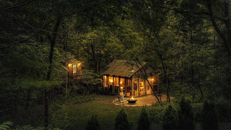 Cabin in the Woods at Night, Building, Woods, Night, Cabin, Trees, HD wallpaper