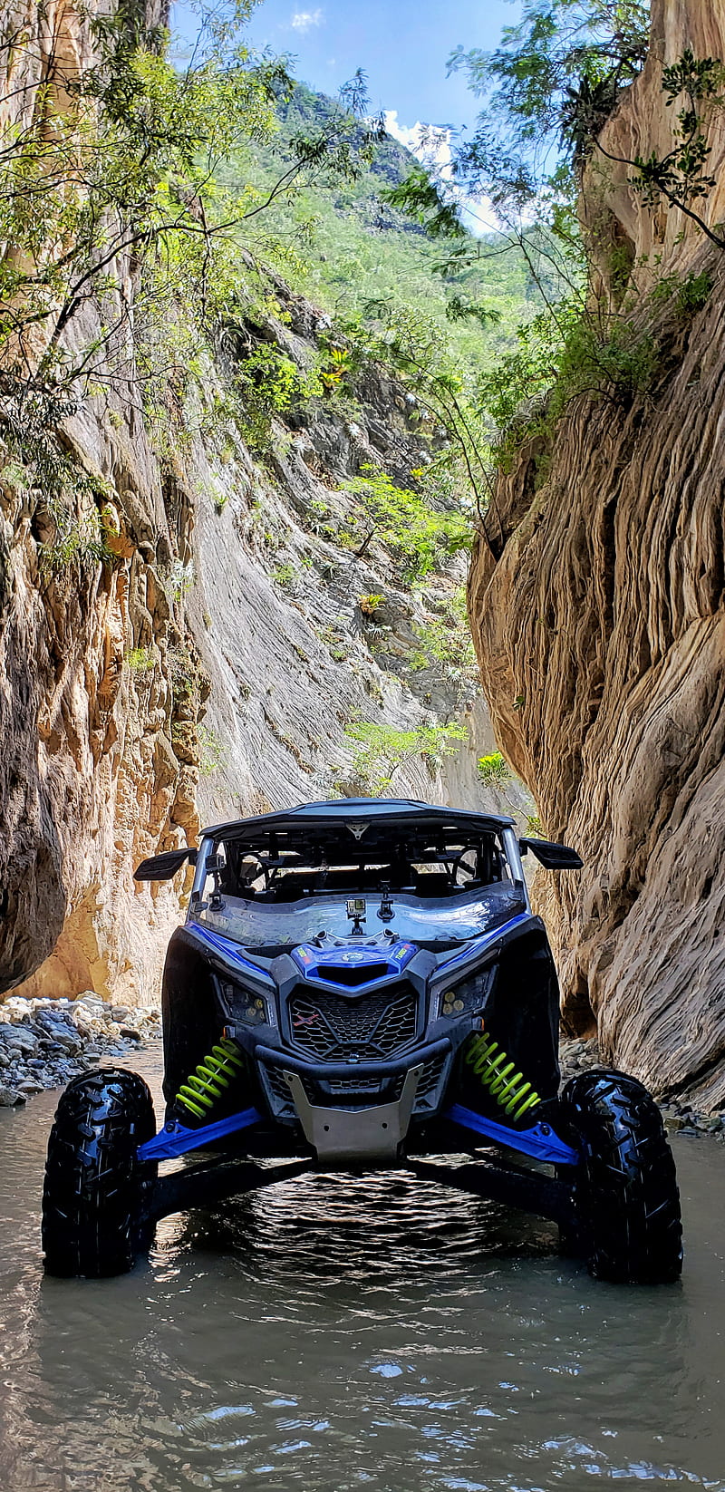 HD canam wallpapers | Peakpx