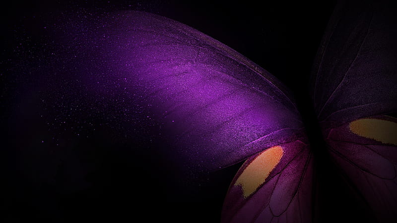 purple butterfly, galaxy fold stock, Abstract, HD wallpaper