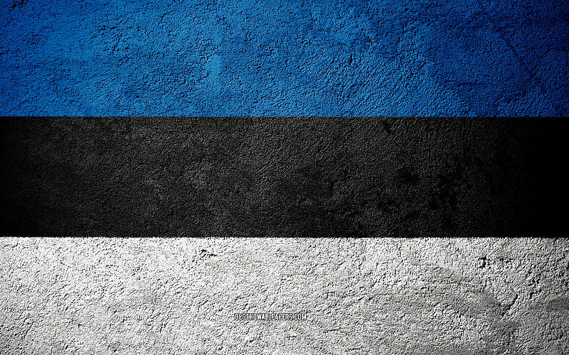 Flag of Estonia, concrete texture, stone background, Estonia flag, Europe, Estonia, flags on stone, HD wallpaper