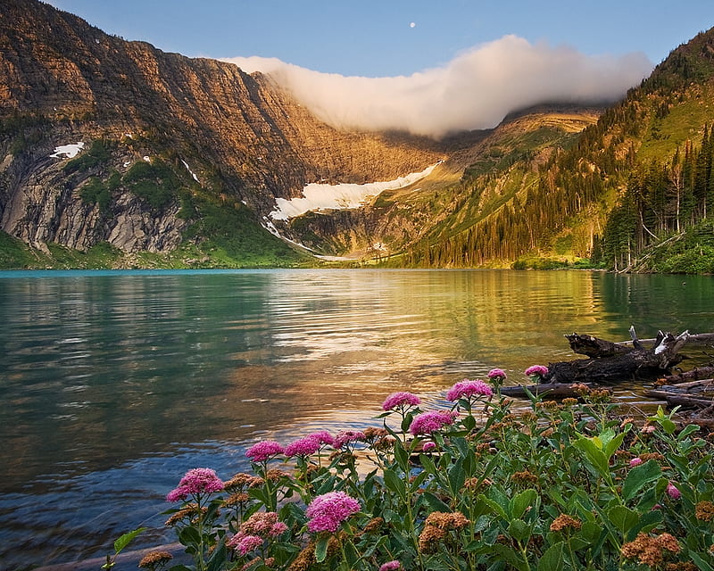 Beautiful Lake, rocks grass, background, afternoon, sundown, nice, stones, gold, multicolor mounts, creeks, bright, flowers, waterscape, paisage, wood, declive, sunrises, dawn, pic, brightness, winter, sunrays, snow, mountains, moonlight, glaciar, spectacular, white, moraine lake, ambar, bonito, seasons, cold, moon, leaves, roots, green, amber, america, scenery, beije, blue, night, lakes, banff national park, peace, maroon, paisagem, icy, day, nature reflected, branches, pc, scene, wonderful, stunning, yellow, clouds, cenario, calm, scenario, peaks, forests, evening, rivers, paysage, cena, golden, black, trees, pines, lagoons, sky, panorama, water, cool, awesome, ice, sunshine, hop, fullscreen, bay, landscape, canada, colorful, brown, gray, wonder, laguna, trunks graphy, sunsets, grove, mirror, tranquile, tranquility, amazing multi-coloured, colors, swell, leaf, wawes, plants, peaceful, colours, frozen, reflections, natural, HD wallpaper