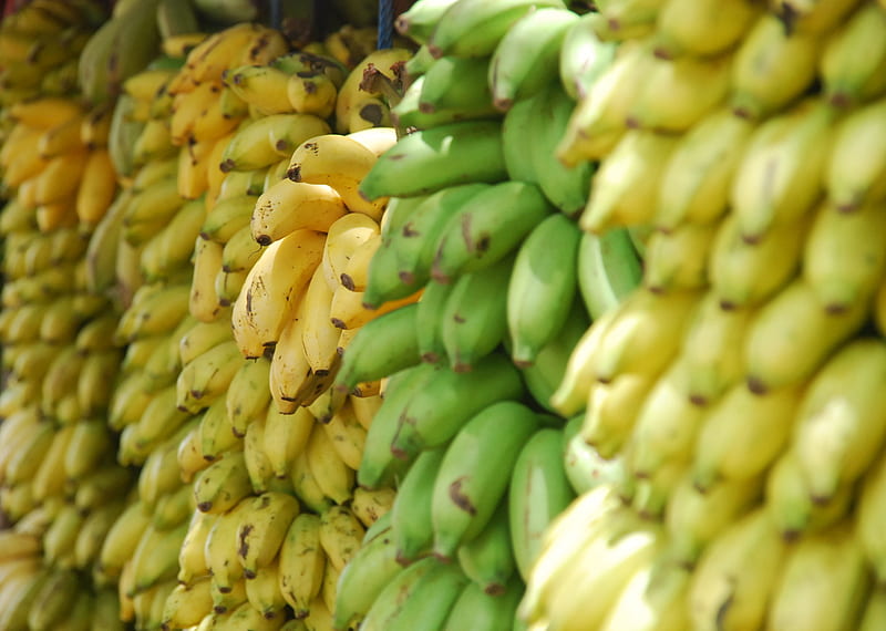 closeup of bunch of bananas, HD wallpaper
