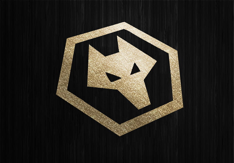 Wolves Gold & Black Logo, fc, wolves fc, the wolves, molineux, english, out of darkness cometh light, football, wwfc, soccer, england, wolves football club, wolverhampton wanderers football club, gold and black screensaver, fwaw, wolverhampton wanderers fc, wolverhampton, wolf, wolves, wanderers, HD wallpaper