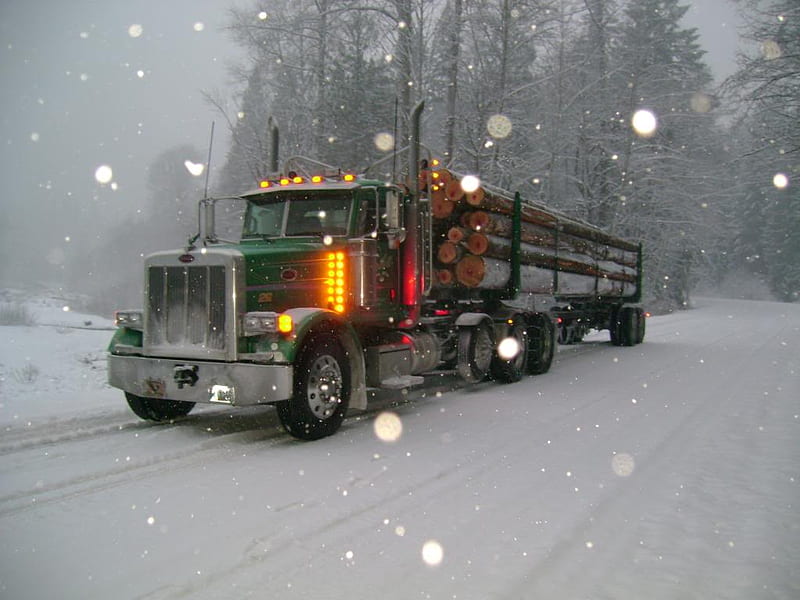 Big Rig, rig, truck, big, snow, HD wallpaper