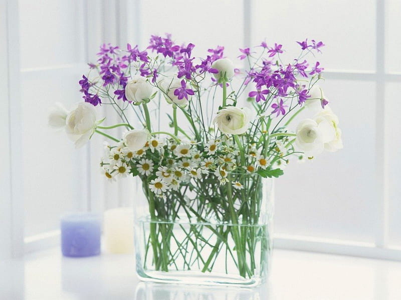 A little bit of summer for Andonia, daisies, purple, flowers, roses ...