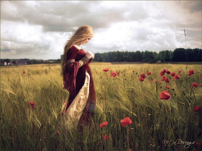 Among the Poppies, fantasy, girl, poppies, field, HD wallpaper | Peakpx