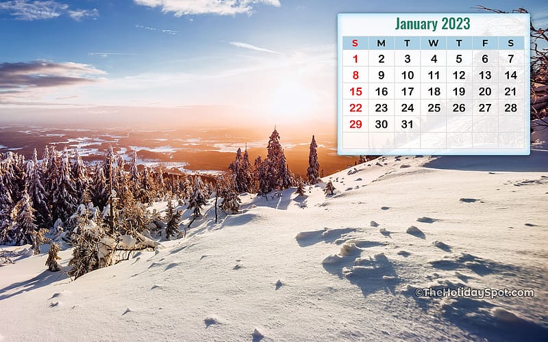 Calendar for 2023. Monthly Calendar, January 2023 Calendar, HD wallpaper