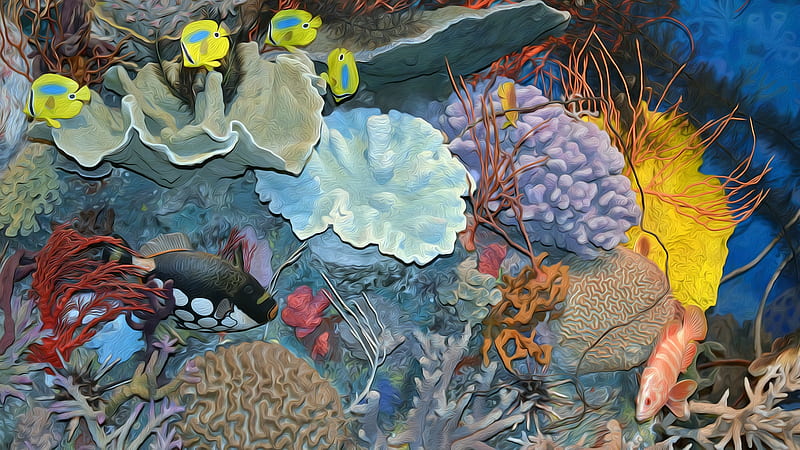 Earth, Great Barrier Reef, HD wallpaper