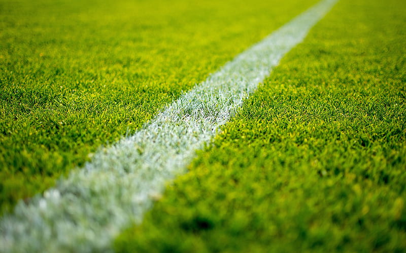 Campo de césped verde línea blanca, estadio de fútbol, ​​línea sobre césped,  Fondo de pantalla HD | Peakpx