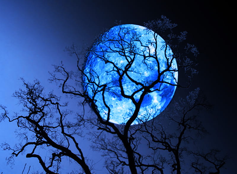 Blue Moon, Nature, Moon, Trees, Blue, HD Wallpaper | Peakpx