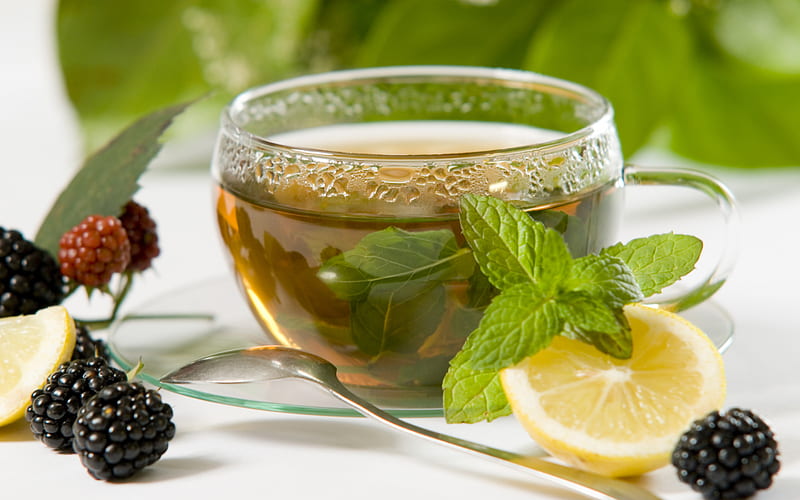 lemon tea, cup of tea, fruit tea, blackberry, tea with berries, lemon, HD wallpaper