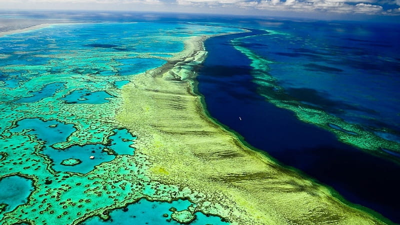 Great Barrier Reef, Ocean, Queensland, Australia, Reef, HD wallpaper