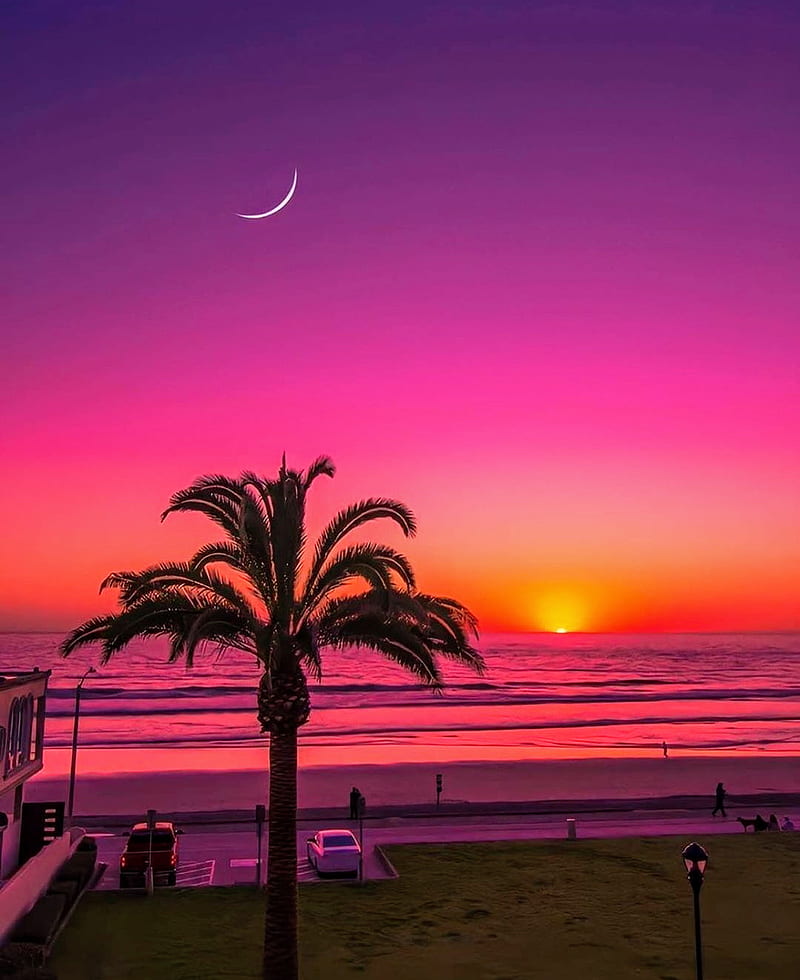 California sun beach sunset HD phone wallpaper  Peakpx