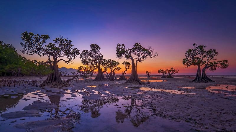 Walakiri Beach, Indonesia, water, reflections, colors, trees, landscape ...