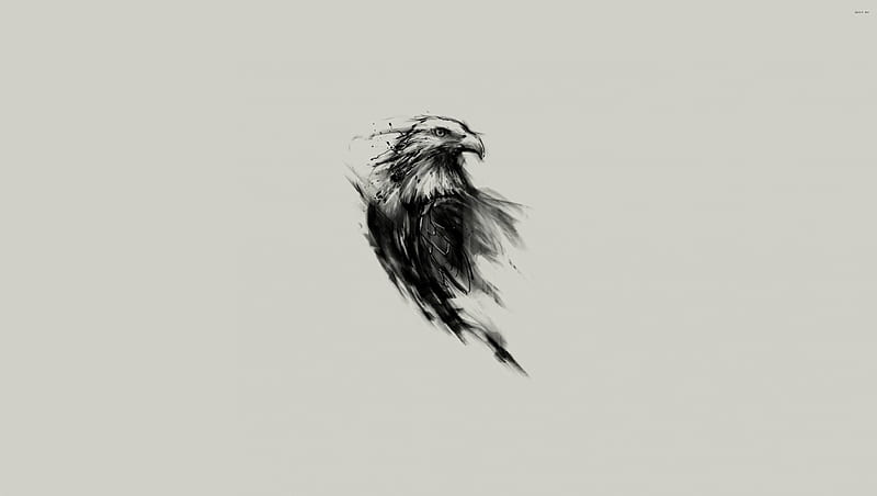 eagle sketch, sketch, eagle, bird, drawing, HD wallpaper