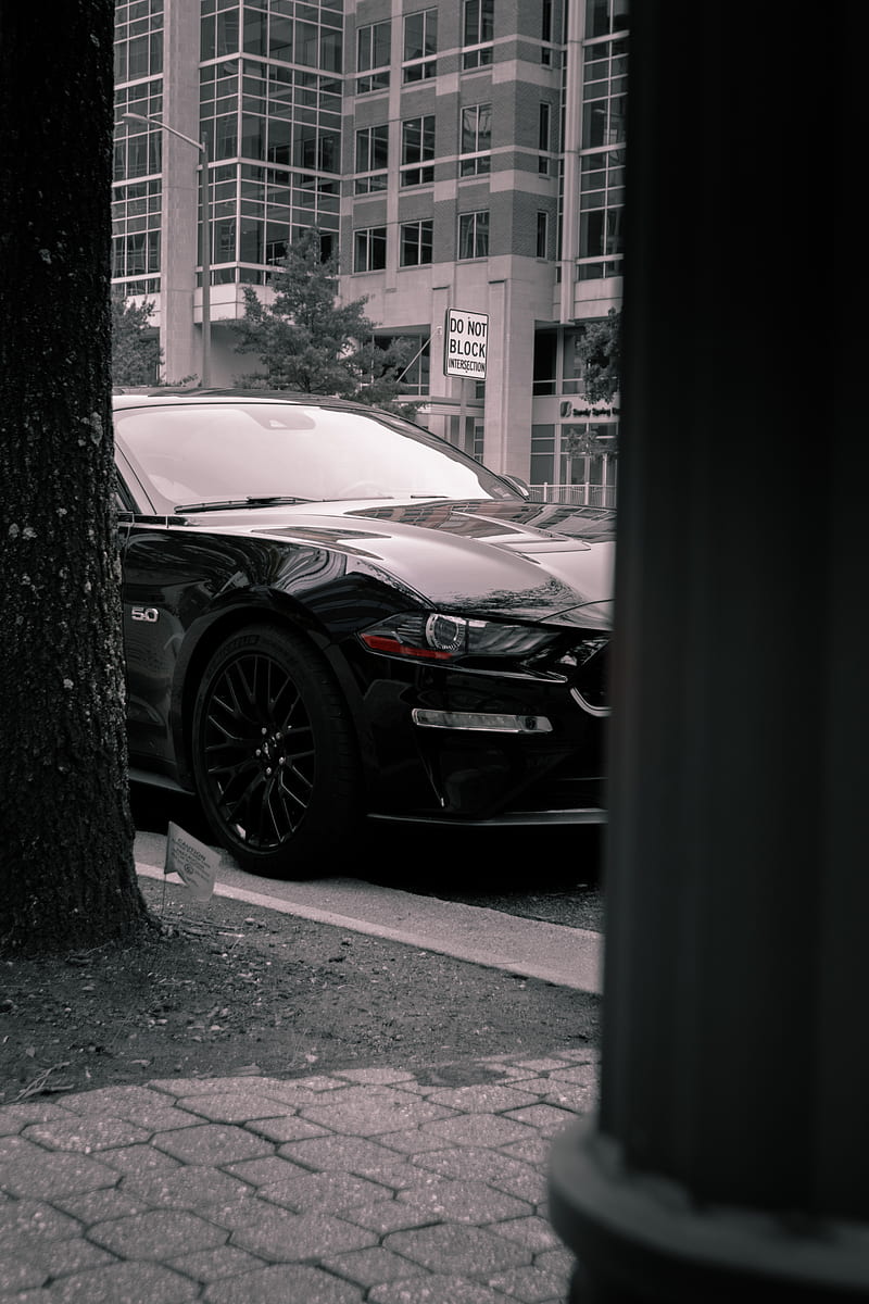 car, sports car, black, side view, street, HD phone wallpaper