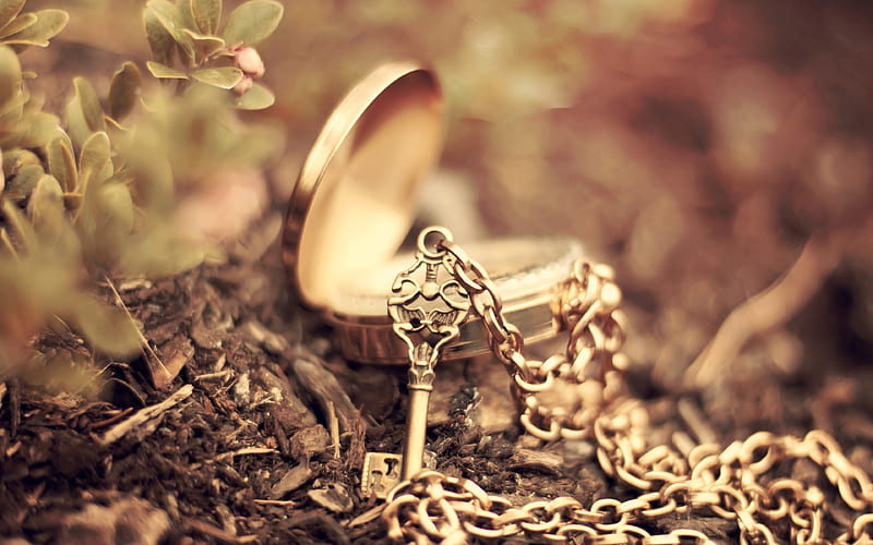 golden pendant, romance, golden key, earth, grass, key to the heart, HD wallpaper