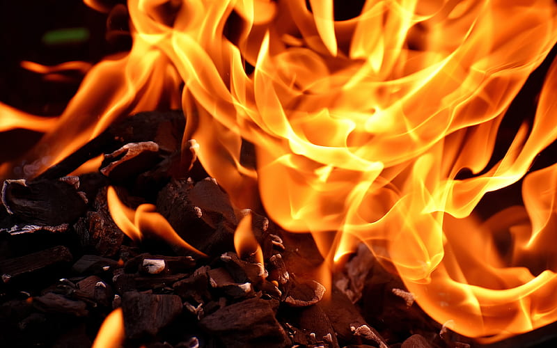 fire flames, bonfire, coals, burn, fire, HD wallpaper
