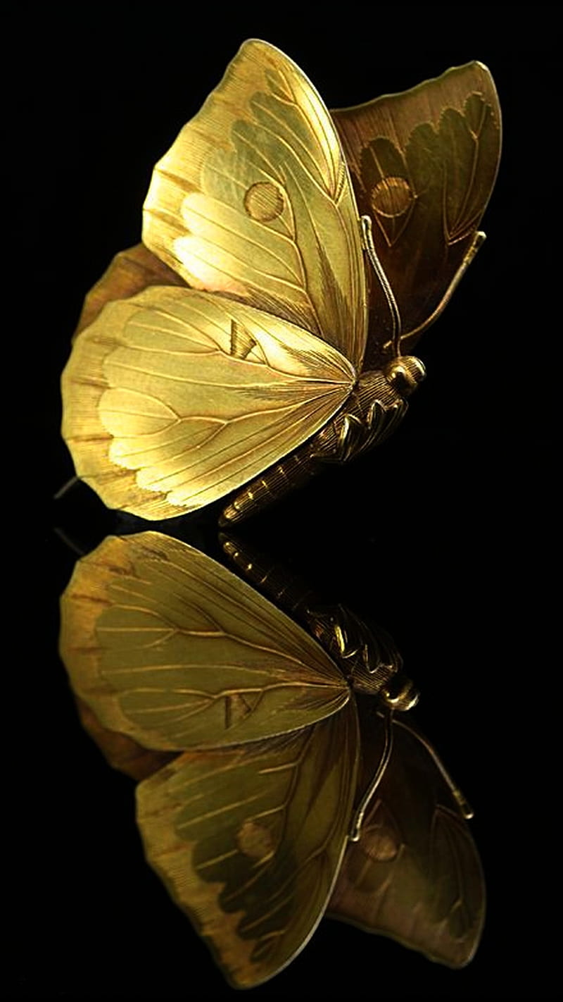 Golden butterfly HD wallpapers  Pxfuel