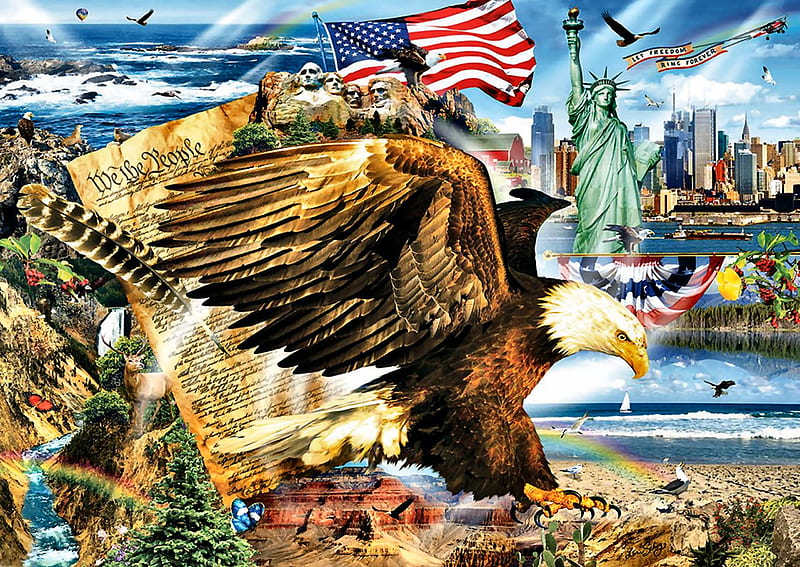 Hd Bald Eagle Landing Wallpapers Peakpx