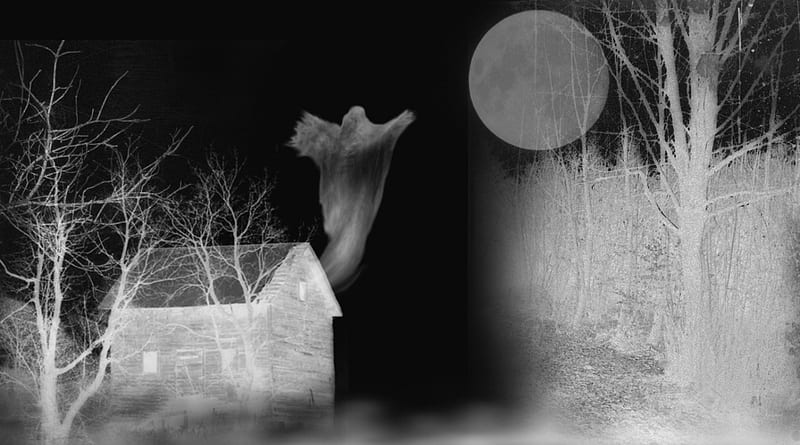 Haunted Farm House, farm, house, ghost, full moon, black and white, haunted, Halloween, trees, HD wallpaper