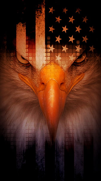 American Eagle, Flag, raptor, symbol, artwork, HD wallpaper