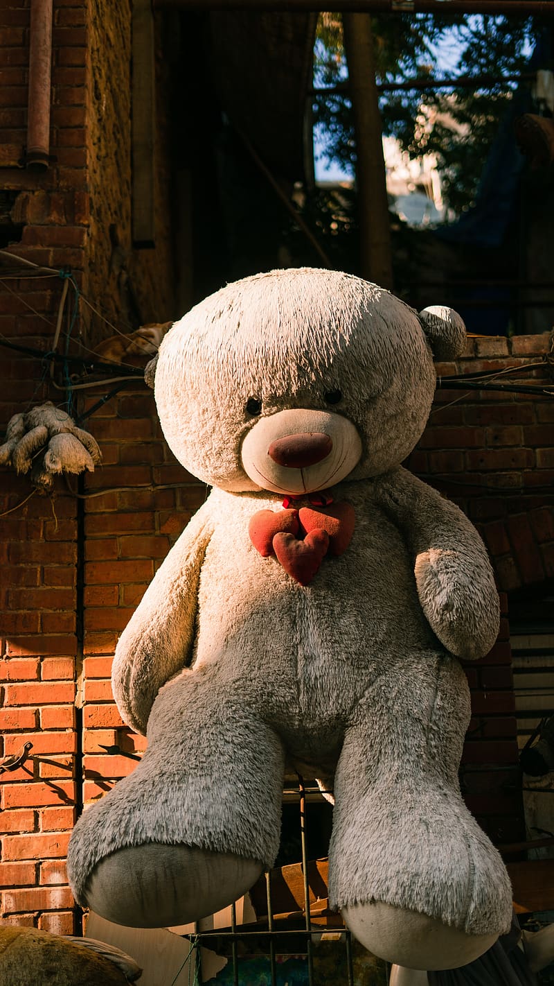 Big Teddy Bear In Sunlight, big teddy bear, sunlight, heart, brown, red, stuff toy, HD phone wallpaper