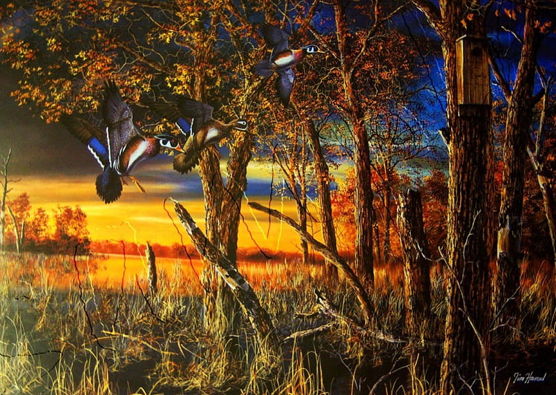Return to the Refuge, painting, sunset, trees, artwork, Pheasants, landscape, HD wallpaper
