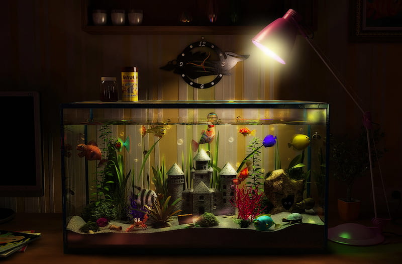 Fantasy Fish, tank, water, plants, room, abstract, castle, light, HD  wallpaper | Peakpx