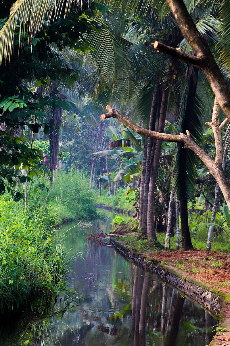 Kerala Nature Quality HD wallpaper | Pxfuel