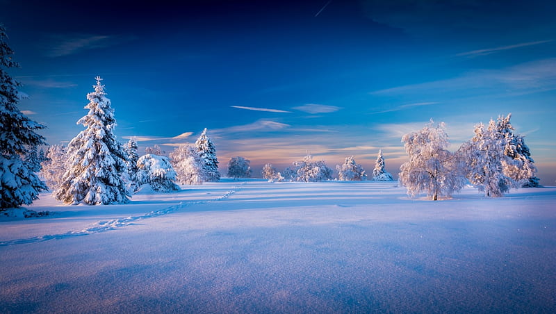 Winter Scenery, Trees, Snow, Sky, Nature, HD wallpaper | Peakpx