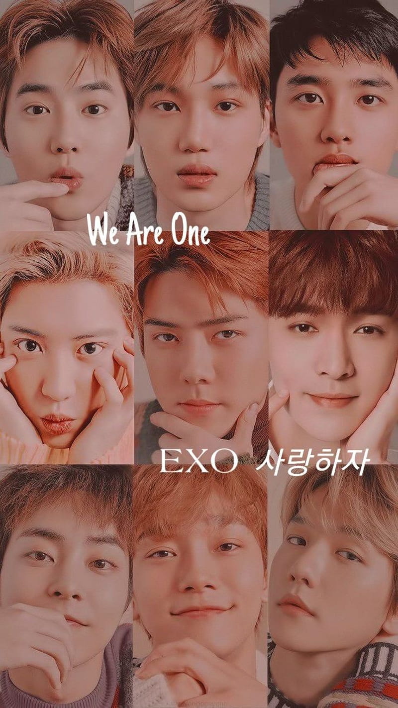 EXO , aesthetic, chanyeol, kai, music, k-pop, segun, exp, HD phone wallpaper