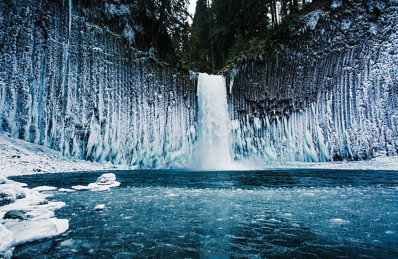 Frozen Waterfall In Oregon, forest, basaltic amphitheater, Abiqua, bonito, creek, trees, lake, waterfalls, winter, ice, white, blue, HD wallpaper