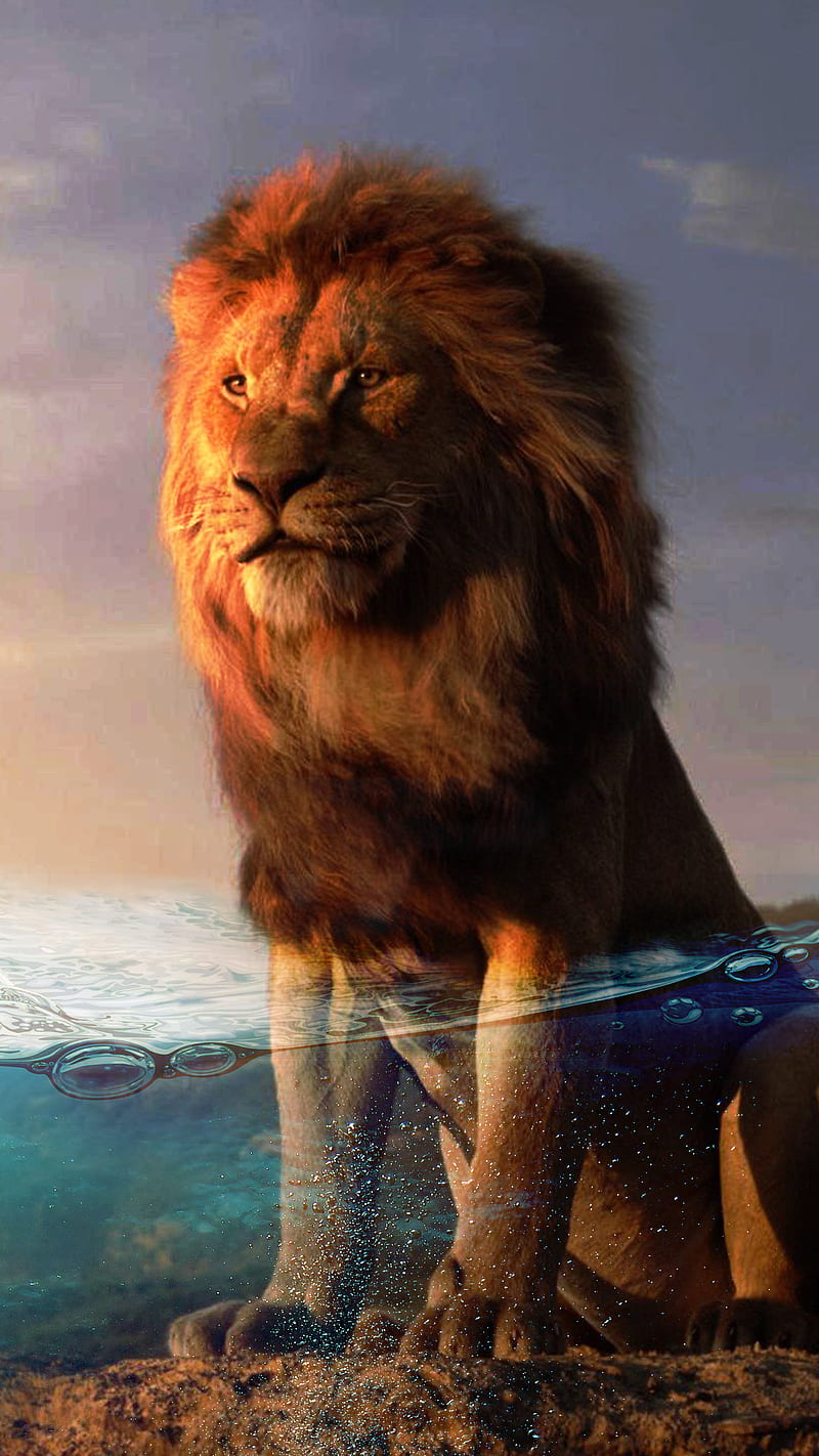 Lion, VIP, after, animal, animation, capa, cinema, colod, dark, fantasy,  landscape, HD phone wallpaper | Peakpx